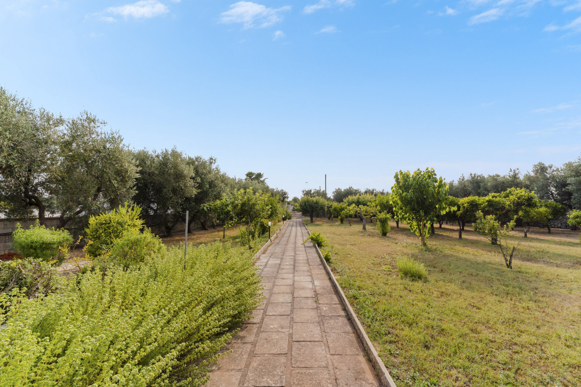 villa domus oleamuro_leccese-villa-050
