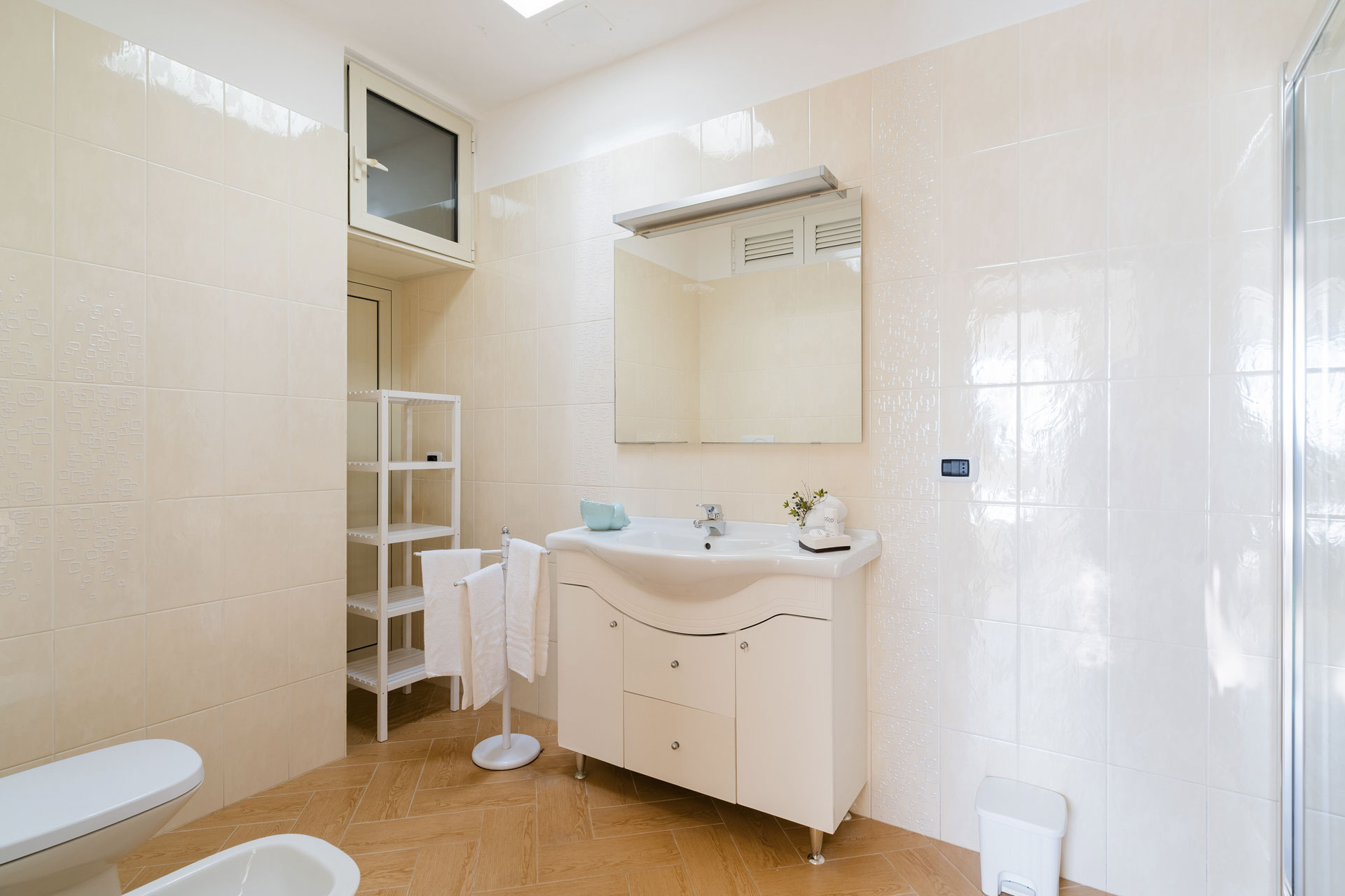 cavalluccio marino00006